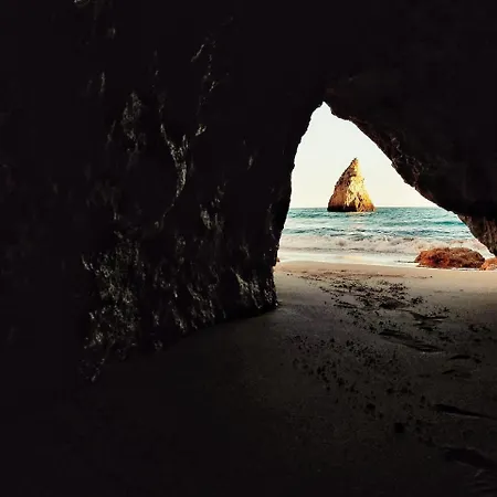Appartement Av Sa Carneiro Travessa Da Abelheira
